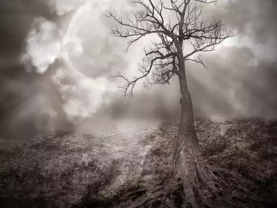 Letting Go of Self-Pity