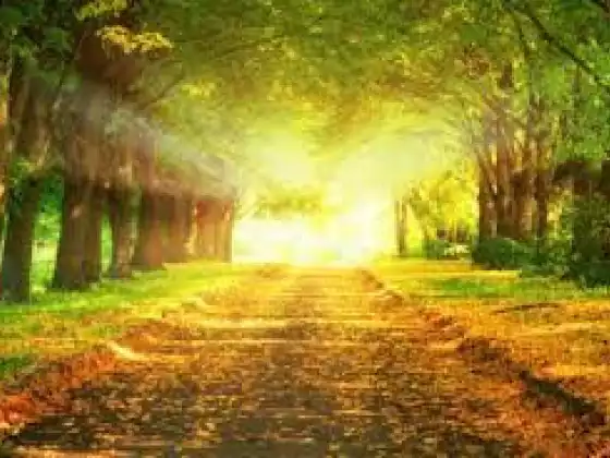 The five universal gifts of walking the spiritual path