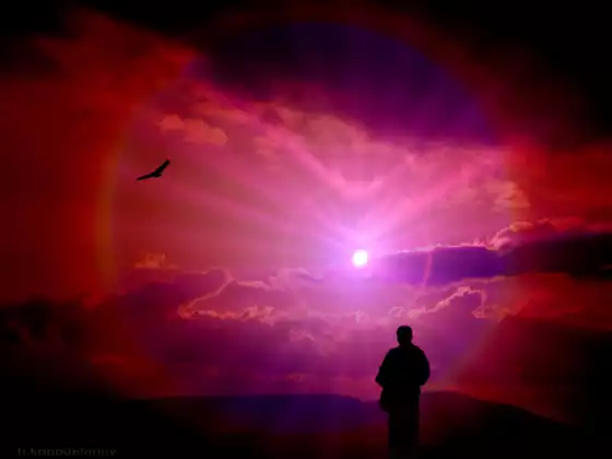Heal Your Life Using Observation
