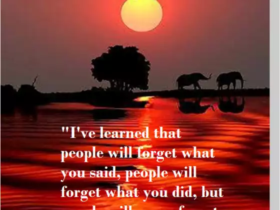 What's Your Story?