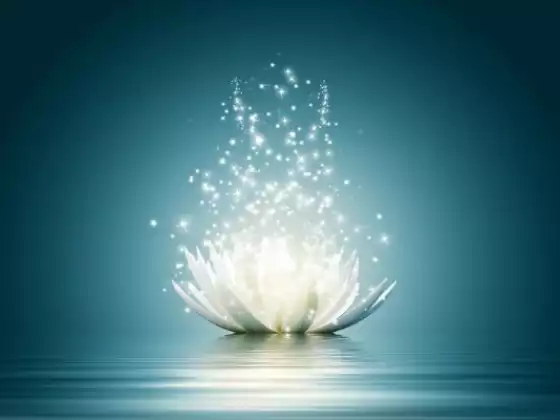 Awaken Your Inner Mystic: Clearing Your System