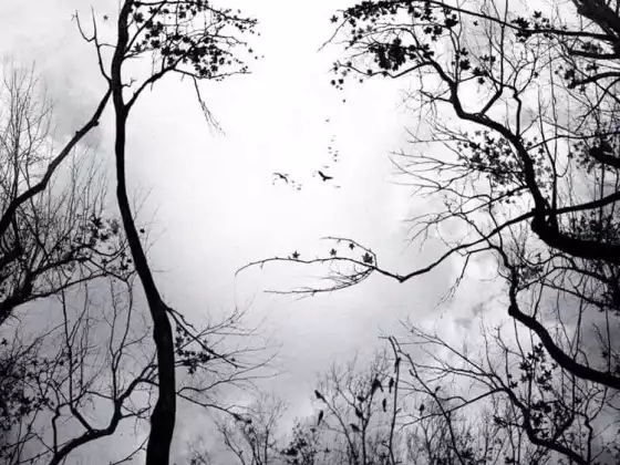 The Flat World of Spirit Matrixing