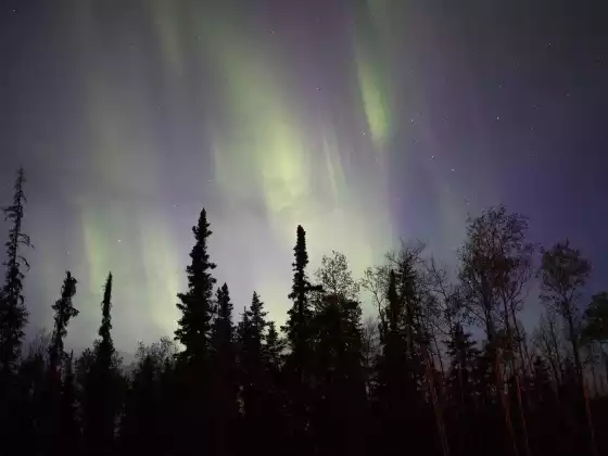 Winter Solstice 