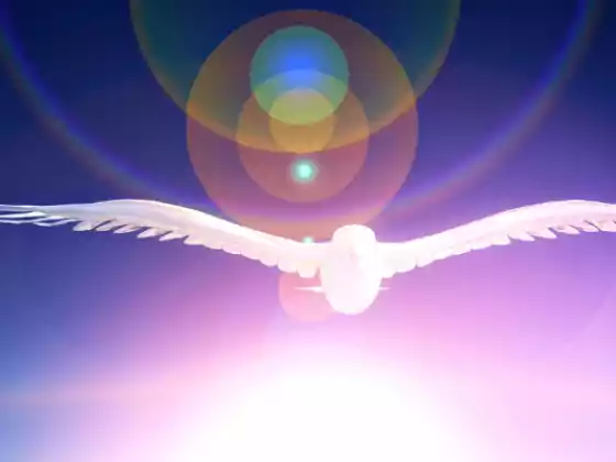 Spirit Communication Made Easy